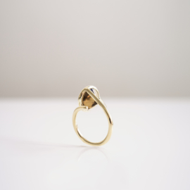 mirror loop ring