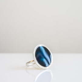 resin disc ring