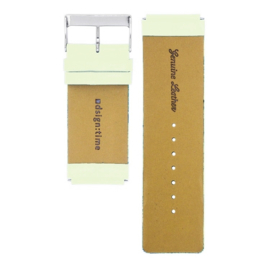 dsigntime horlogeband pastelgroen