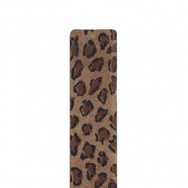 easy going band jaguar bruin