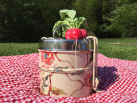Tiffin picknick/lunchbox