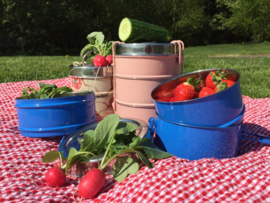 Tiffin picknick/lunchbox