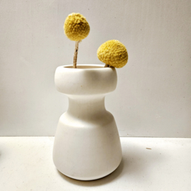 Flora Gouda | wit vaasje