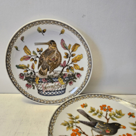 Wandbordje | vogel van de maand