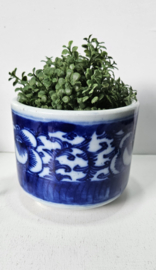 Plantenpot - blauw & wit | vintage