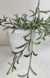 Vintage plantenpot | reliëf patroon