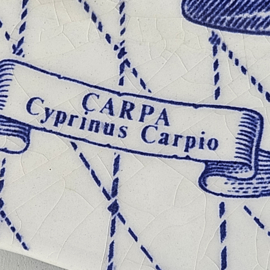 Diner/ visbord - set van 6 | Carpa