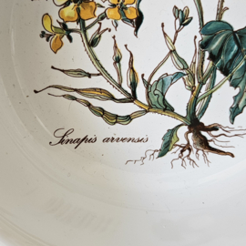 Villeroy & Boch Botanica | serveerschalen - set van 2