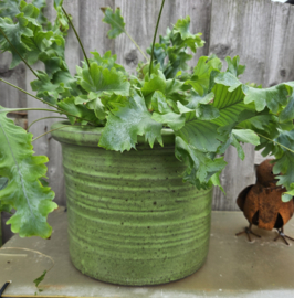 Groene plantenpot | vintage keramiek