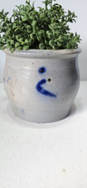Keulse zoutpot