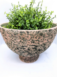 Berkenbast plantpot