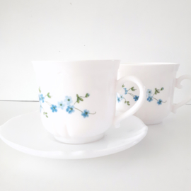 Arcopal Veronica | kop & schotel