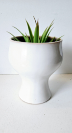 Plantenpot op voet