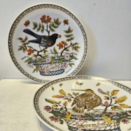 Wandbordje | vogel van de maand