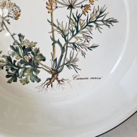 Villeroy & Boch Botanica | serveerschalen - set van 2