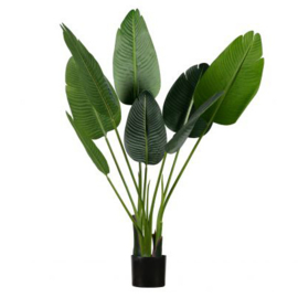 WOOOD kunstplant strelitzia