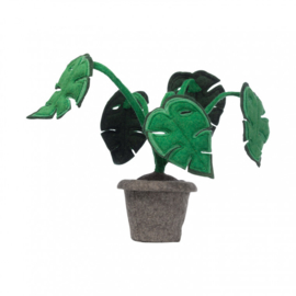 KidsDepot plant monstera