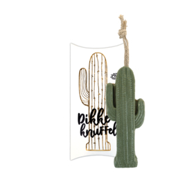 100%LEUK zeephanger cactus