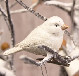 Vogeltje, clip