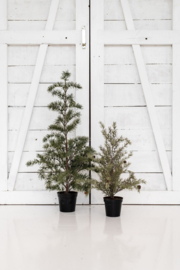 Kerstboom kunst tromso