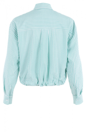 Anna Blue blouse streep - groen