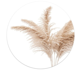 Zoedt muurcirkel pampas gras