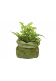 Uashmama paper bag - forest