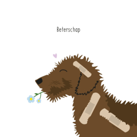 Kaart Frits beterschap