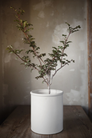 ERNST bloempot H19 - wit