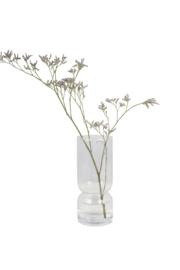 Zusss vaas glas s
