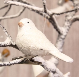 Vogeltje, clip