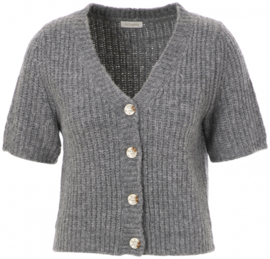 JcSophie vest - grijs