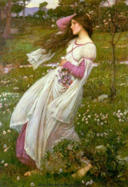 Waterhouse, Windflowers