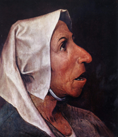 Bruegel, Hoofd van een boerin