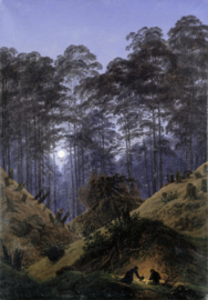 Friedrich, In het bos in het maanlicht