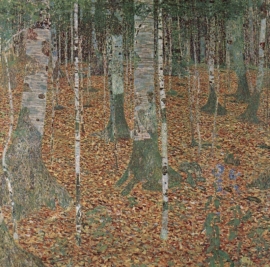 Klimt, Berkenbos