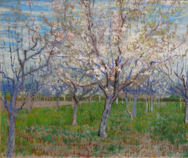 Van Gogh, Bloeiende fruittuin (de roze boomgaard)