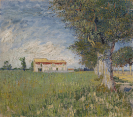 Van Gogh, Boerderij in het koren