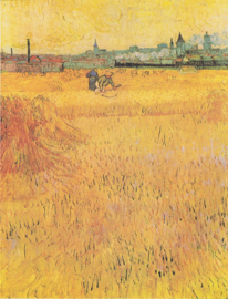 Van Gogh, Arles: uitzicht vanaf de korenvelden