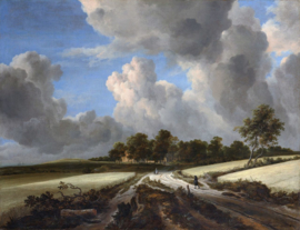 Van Ruisdael, Tarwevelden