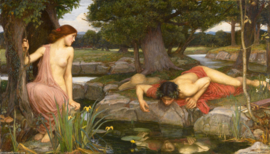 Waterhouse, Echo en Narcissus