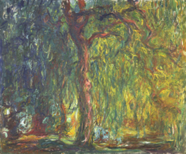 Monet, Treurwilg