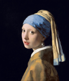 Vermeer, Meisje met de parel