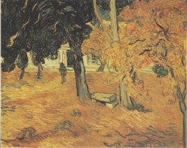 Van Gogh, Tuin van het ziekenhuis Saint-Paul