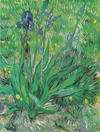 Van Gogh, De iris