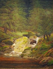 Friedrich, Sparrenbos met een waterval