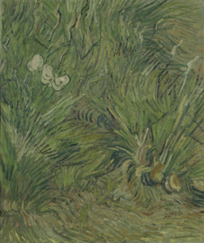 Van Gogh, Tuin met vlinders