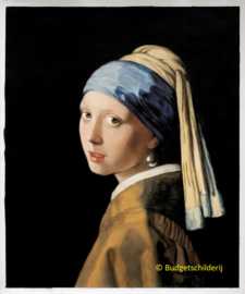 Vermeer, Meisje met de parel