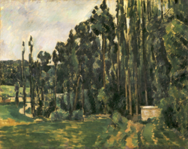 Cézanne, Populieren