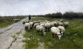 Mauve, Schapen op de heide